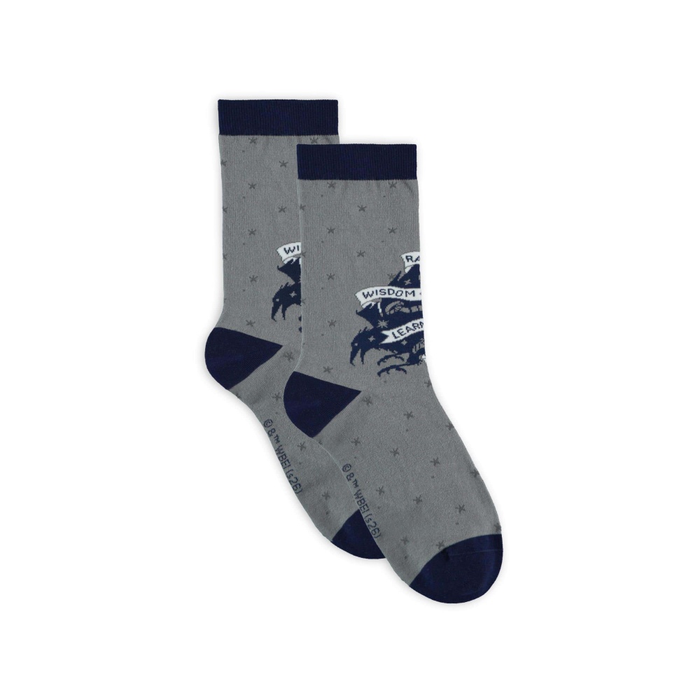 Harry Potter - Ravenclaw Socken - Grau/Blau